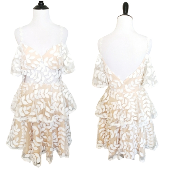 Dresses & Skirts - 2 for $25 Lace sheer dress